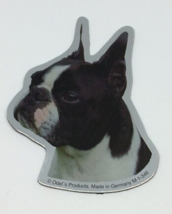 Magnet Med Boston Terrier