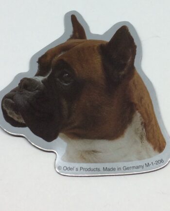 Magnet Med Boxer