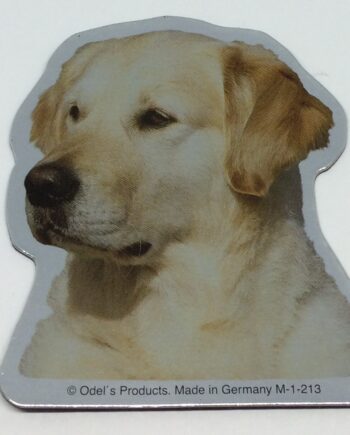 Magnet Med Golden Retriever