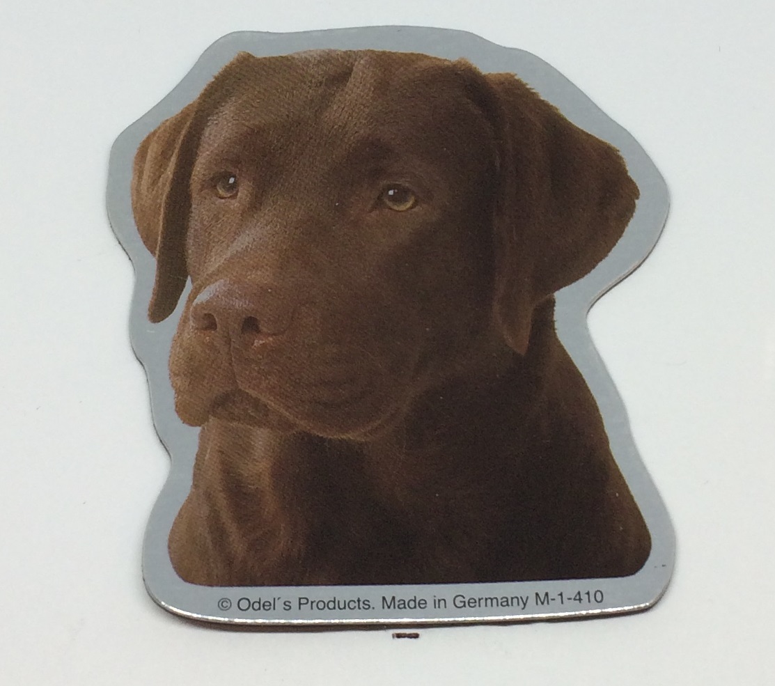 Magnet Med Labrador Brun