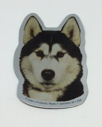 Magnet Med Siberian Husky