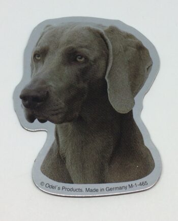 Magnet Med Weimaraner