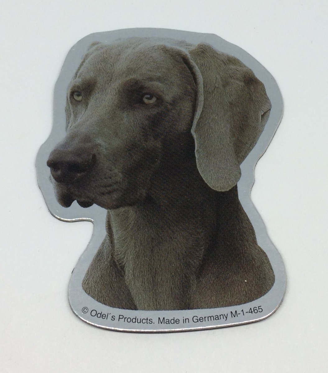 Magnet Med Weimaraner
