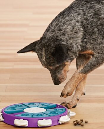 Nina Ottosson Aktivitetslegetøj Twister