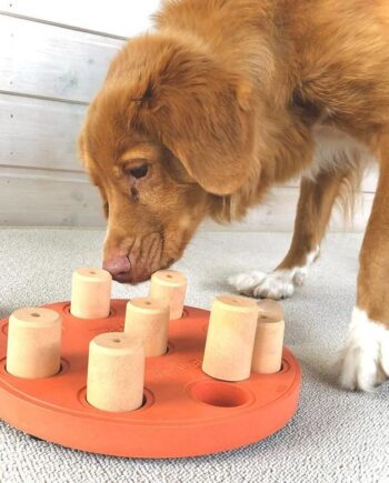 Nina Ottosson Dog Smart  Level