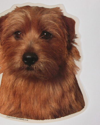 Norfolk Terrier  Hv  Vælg: Klistermærke  Nøglering  Broche  Slipsenål  Mm