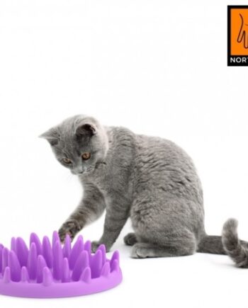 Northmate Catch Spis-langsomt Skål Til Katte