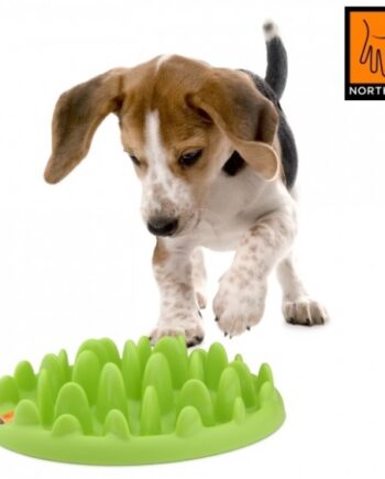 Northmate Green Spis-langsomt Skål  Mini  Til Hvalpe Og Mindre Hund