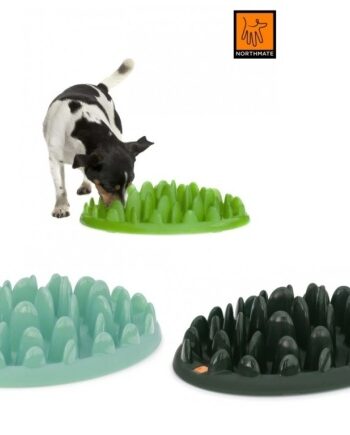 Northmate Green Spis-langsomt Skål Original