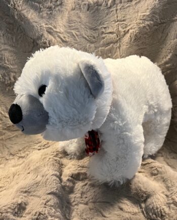 Pablo The Polar Bear  Isbjørn