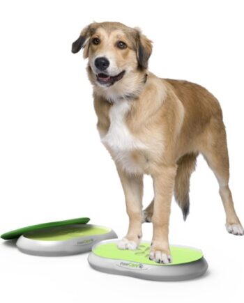 Pawcare  Ass  Farve