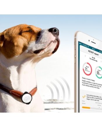 Petkit Monitor