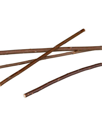 Pilekviste Til Gnavere