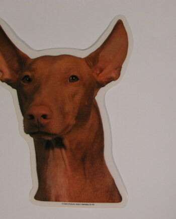 Podenco Canario  Hv  Vælg: Klistermærke  Nøglering  Broche  Slipsenål  Mm