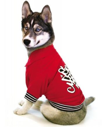 Polo Size Doesn   Matter