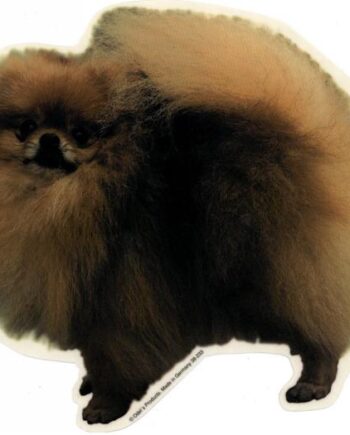 Pomeranian  St  Vælg: Klistermærke  Nøglering  Broche  Slipsenål  Mm