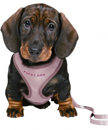 Puppy Dog Soft Hvalpesele Med Line
