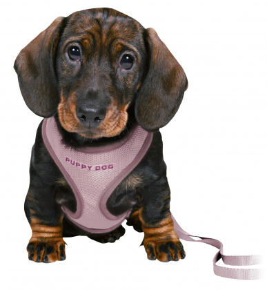 Puppy Dog Soft Hvalpesele Med Line