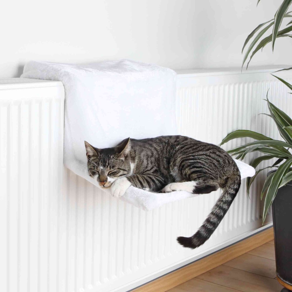 Radiatorseng Quot De Luxe Quot Til Kat