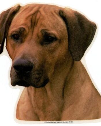 Rhodesian Ridgeback  Vælg: Klistermærke  Nøglering  Broche  Slipsenål  Mm