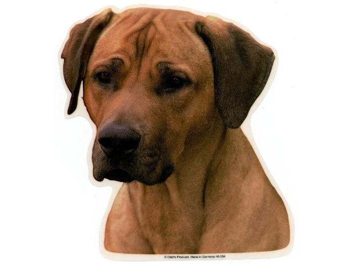 Rhodesian Ridgeback Vælg: Klistermærke Nøglering Broche Slipsenål Mm