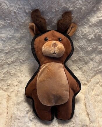 Rodney Reindeer