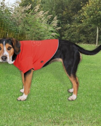Rød Hunde  -shirt  Quot Angel Devil Quot