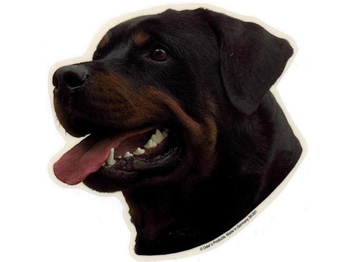 Rottweiler Han Hv Vælg: Klistermærke Nøglering Mm