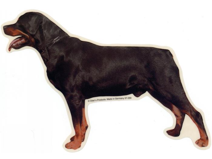 Rottweiler St Vælg: Klistermærke Nøglering Broche Slipsenål Mm