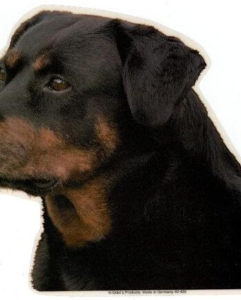 Rottweiler  Tæve  Vælg: Klistermærke  Nøglering  Broche  Slipsenål  Mm