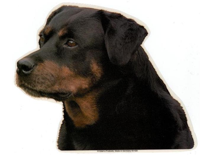 Rottweiler Tæve Vælg: Klistermærke Nøglering Broche Slipsenål Mm