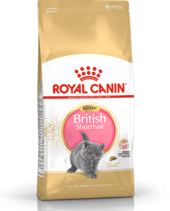 Royal Canin British Shorthair Kitten  Til Killing Op Til 12 Måneder  2kg