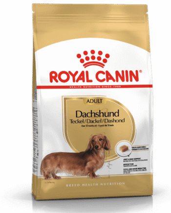 Royal Canin Dachshund   Gravhund Adult Over 10 Måneder