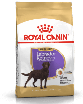 Royal Canin Labrador Retriever Sterilised Adult Til Steriliserede Hunde Over 15 Måneder  Hund   12 Kg
