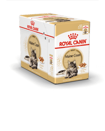Royal Canin Maine Coon Adult Vådfoder 12x85g