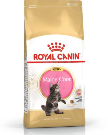 Royal Canin Maine Coon Kitten  Til Killinger Op Til 15 Måneder