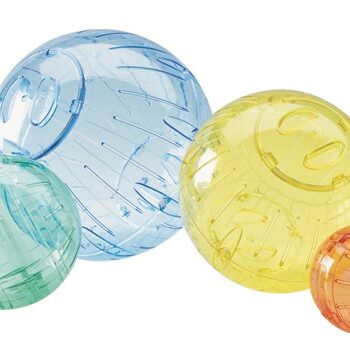 Runner Motionsbold Til Gnavere  Ass  Farver