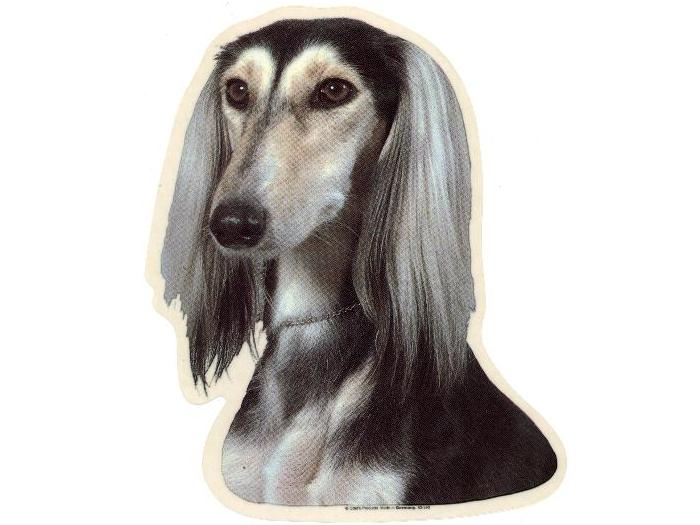 Saluki Vælg: Klistermærke Nøglering Broche Slipsenål Mm