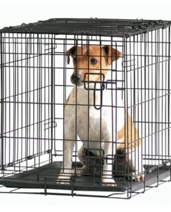 Savic Transportbur   Sort Metal