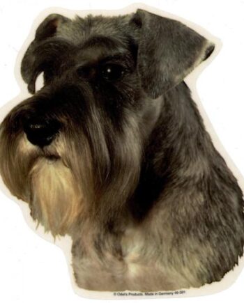 Schnauzer  Grå  øre Ned  Vælg: Klistermærke  Nøglering  Broche  Slipsenål  Mm