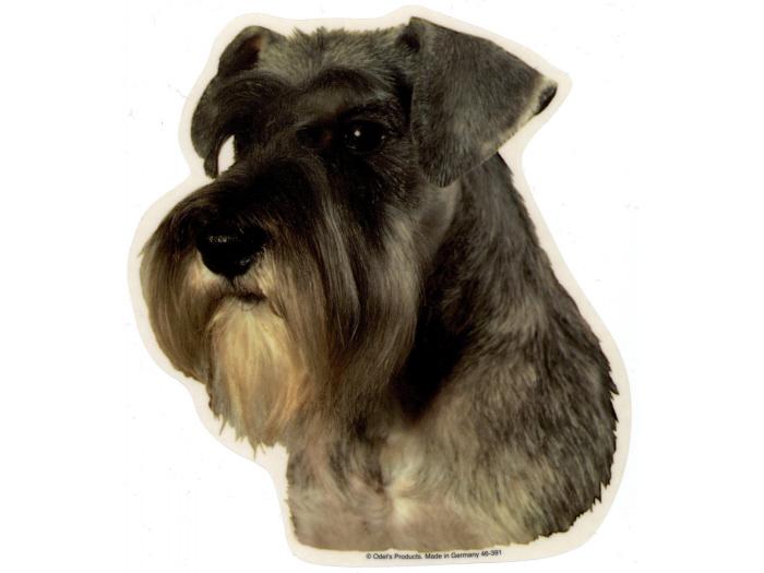 Schnauzer Grå øre Ned Vælg: Klistermærke Nøglering Broche Slipsenål Mm