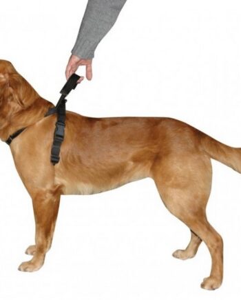 Sele Med Integreret Håndtag  Dog Control