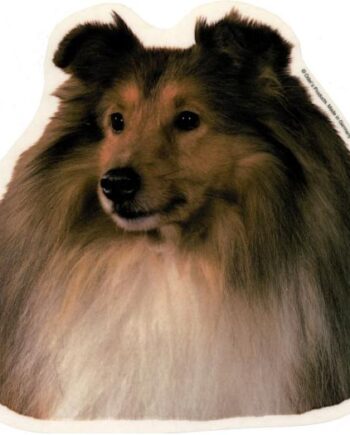 Shetland Sheepdog  Hv  Vælg: Klistermærke  Nøglering  Broche  Slipsenål  Mm