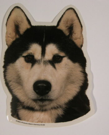 Siberian Husky  Hv  Vælg: Klistermærke  Nøglering  Broche  Slipsenål  Mm