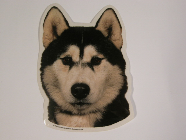 Siberian Husky Hv Vælg: Klistermærke Nøglering Broche Slipsenål Mm