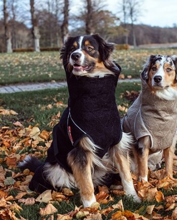 Siccaro Solution  Wetdog Tørredækken