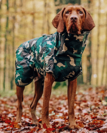 Siccaro Spirit Tørredækken