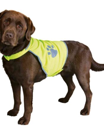 Sikkerhedsvest Til Hund    Neon Grøn Gul Med Reflex