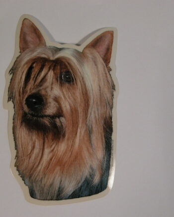 Silky Terrier  Hv  Vælg: Klistermærke  Nøglering  Broche  Slipsenål  Mm