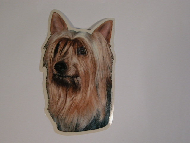 Silky Terrier Hv Vælg: Klistermærke Nøglering Broche Slipsenål Mm
